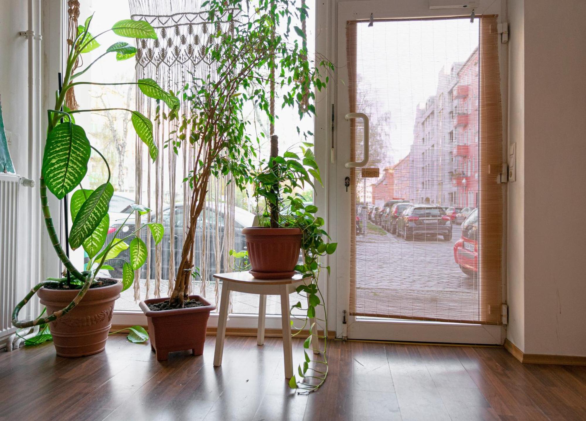 Boutique Altbau Appartamento